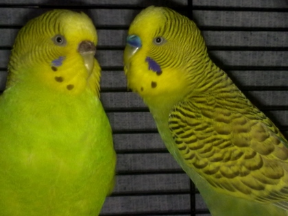 dorme e dorme e dorme